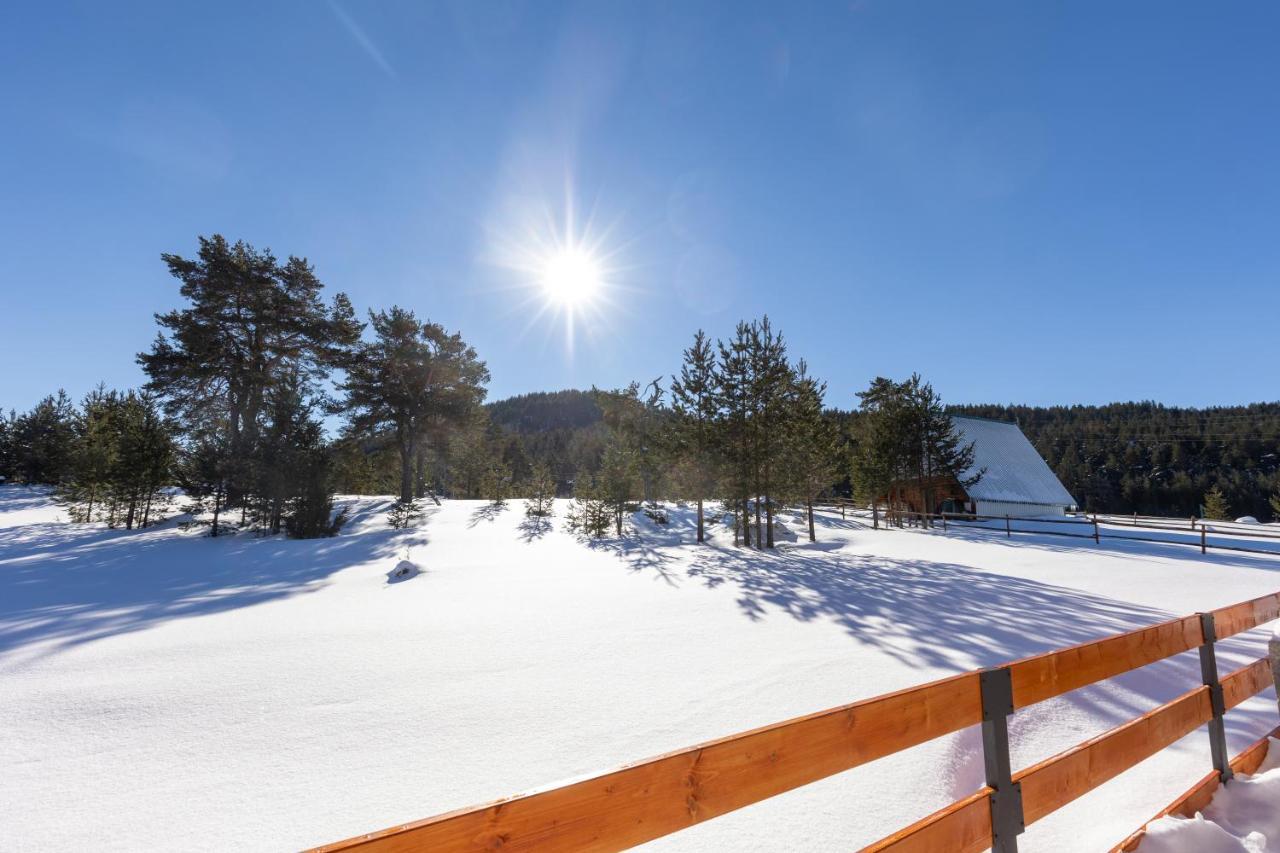 Vila Hanovi Zabljak Exteriör bild